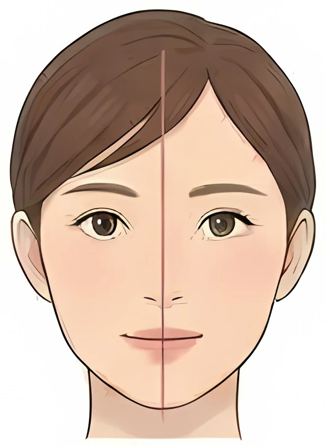 左右がそろった正面の顔のイメージ図